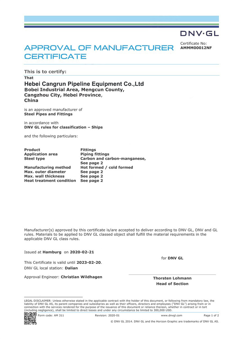 Certificate of DNV--2019  Certification